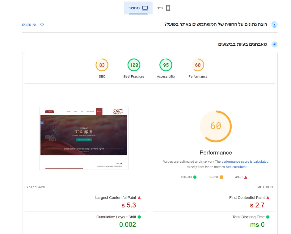 בדיקת PageSpeed לפני אופטימיזציה — ציון 60